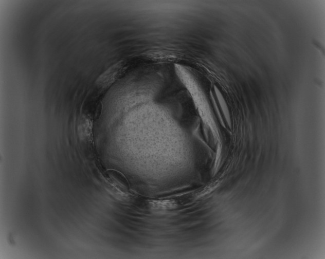 X0000096940281200802291040