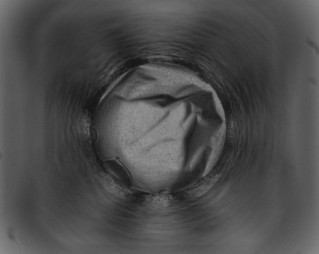 X0000096940282200802291040