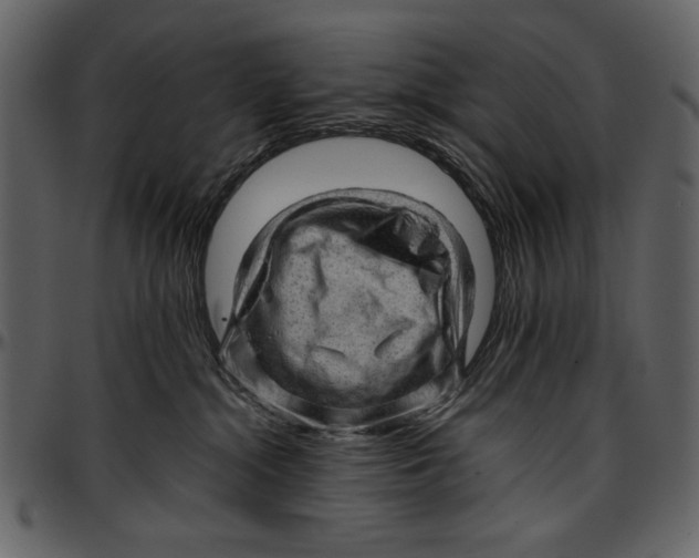 X0000096940284200802291040