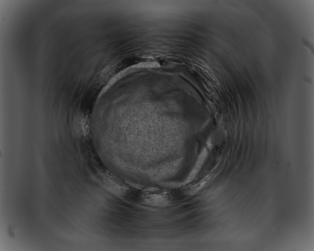 X0000096940285200802291040