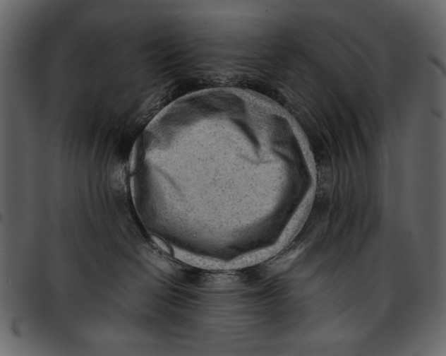 X0000096940286200802291040