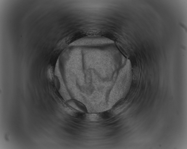 X0000096940287200802291040