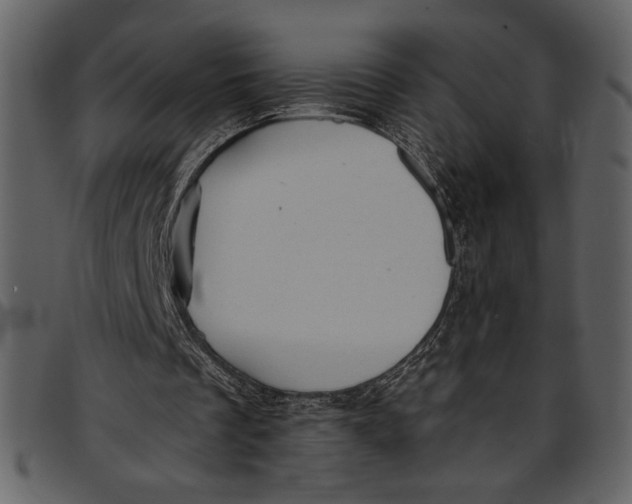 X0000096940289200802291040