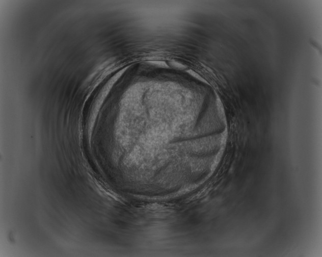 X0000096940290200802291040