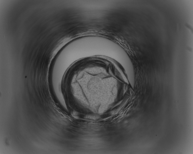 X0000096940292200802291040