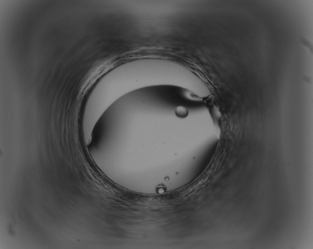 X0000096940293200802291040