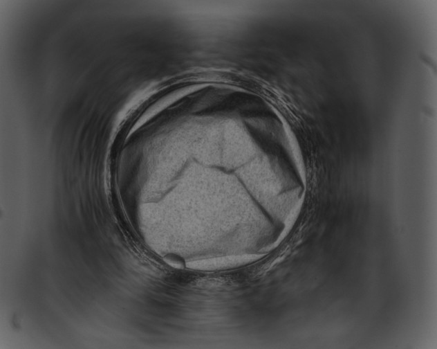 X0000096940294200802291040