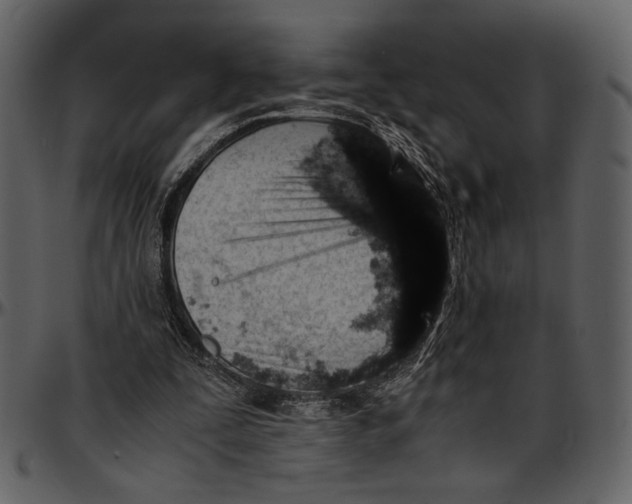 X0000096940295200802291040