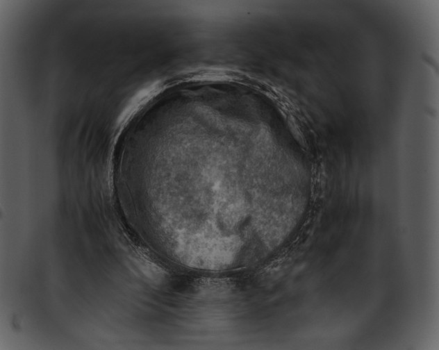 X0000096940296200802291040