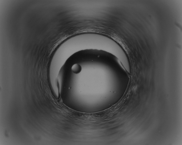 X0000096940297200802291039