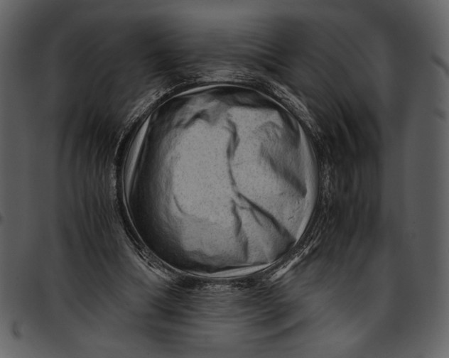 X0000096940298200802291039