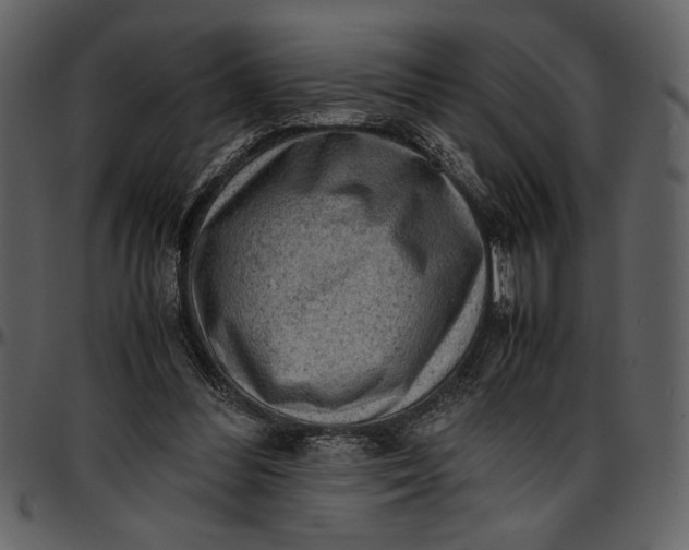 X0000096940300200802291039