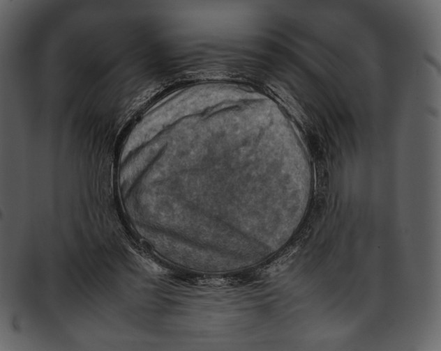 X0000096940301200802291039