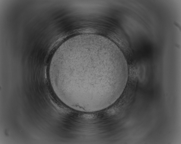 X0000096940302200802291039