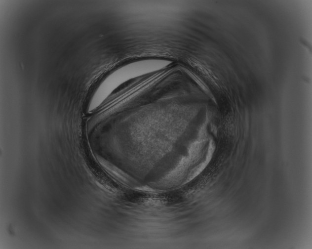 X0000096940303200802291039