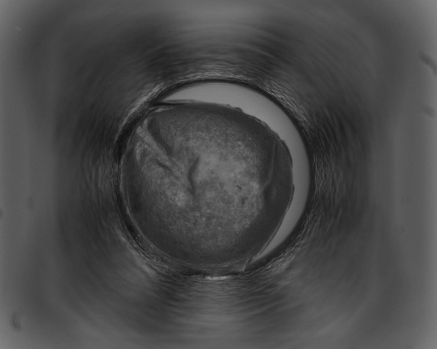 X0000096940304200802291039