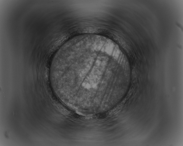 X0000096940305200802291039