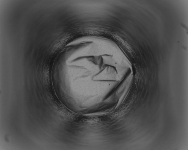 X0000096940306200802291039