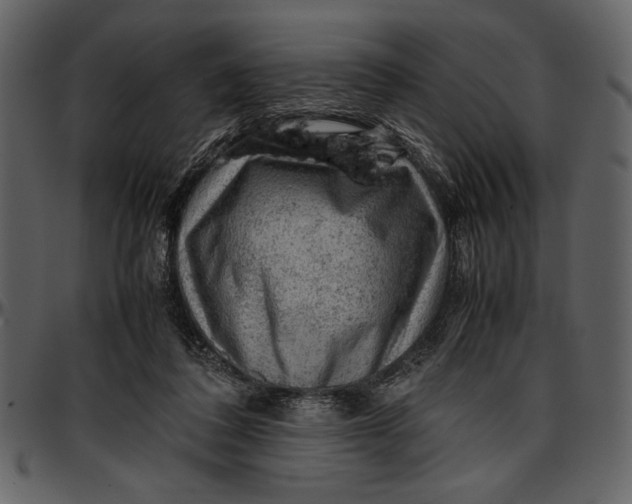 X0000096940308200802291039