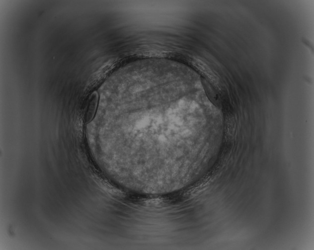 X0000096940309200802291039