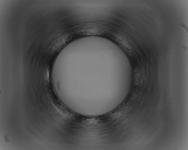 X0000096940310200802291039