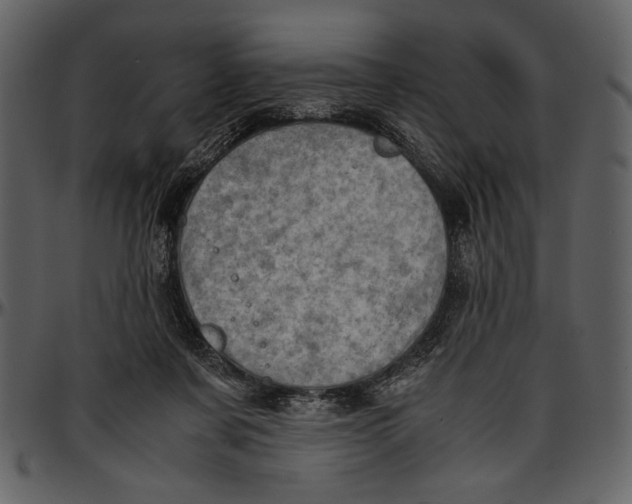 X0000096940311200802291039