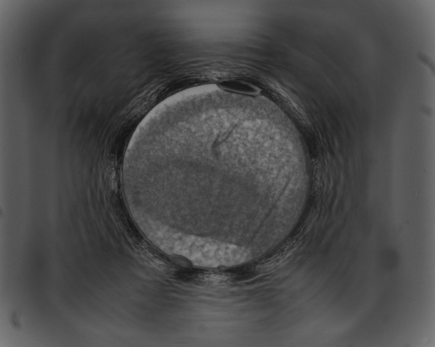 X0000096940313200802291039