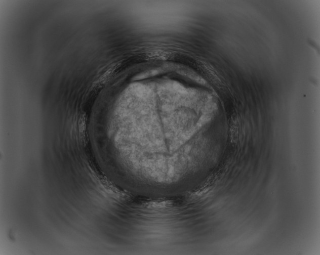 X0000096940314200802291039