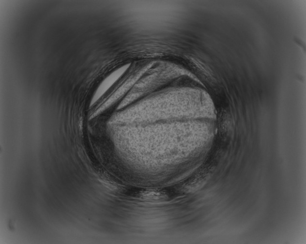 X0000096940315200802291039