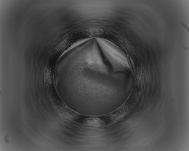 X0000096940316200802291039