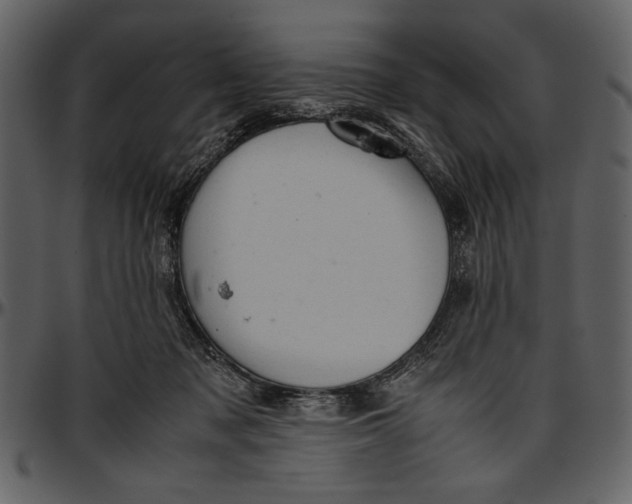 X0000096940317200802291039