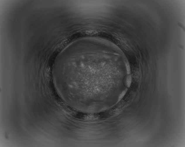 X0000096940319200802291039