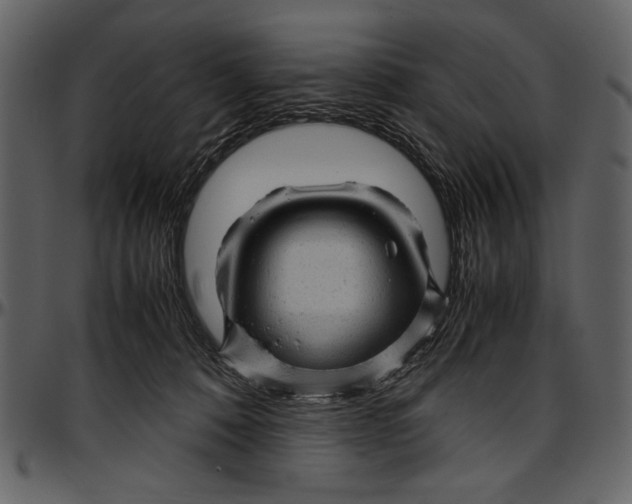 X0000096940320200802291039