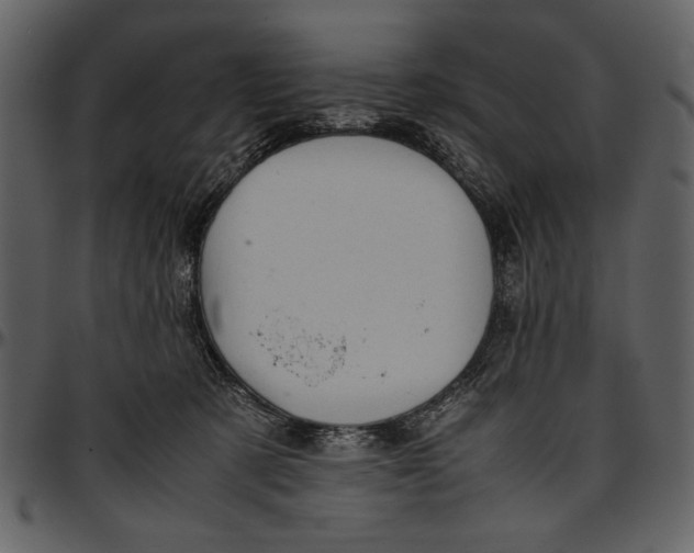 X0000096940321200802291039