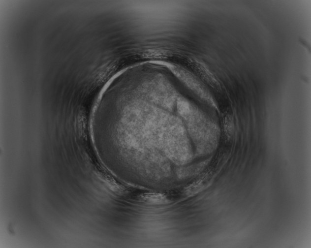 X0000096940322200802291039