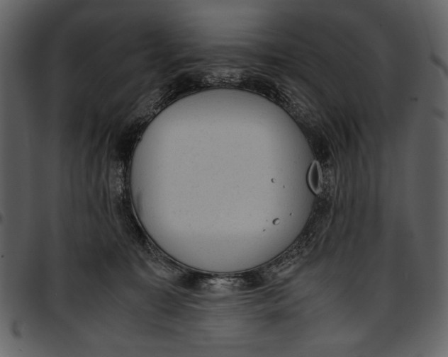 X0000096940323200802291039