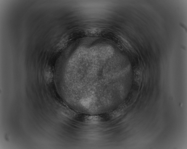 X0000096940324200802291039