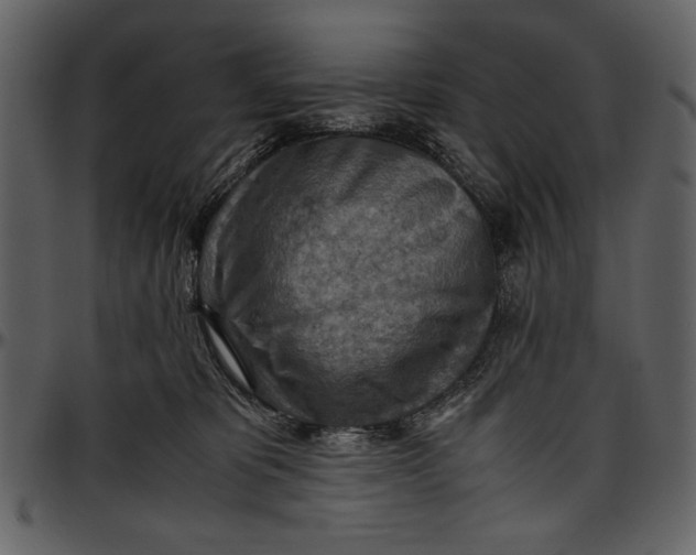 X0000096940325200802291039