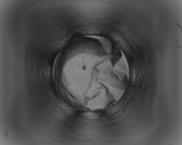 X0000096940326200802291039