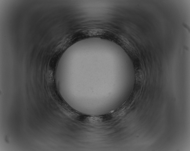 X0000096940327200802291039