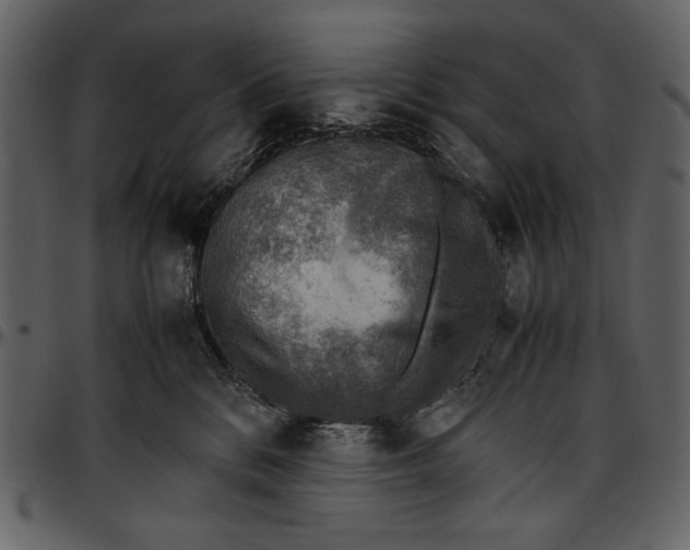 X0000096940328200802291039