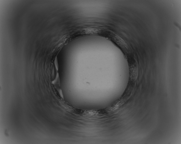 X0000096940329200802291039