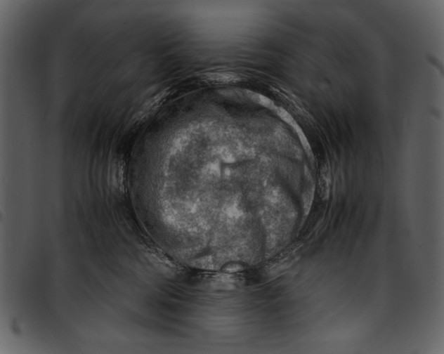 X0000096940330200802291039