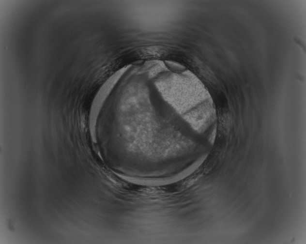 X0000096940331200802291039