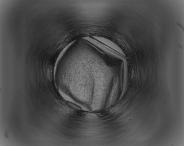 X0000096940332200802291039