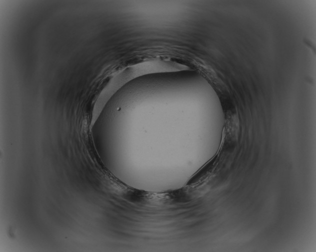 X0000096940333200802291039