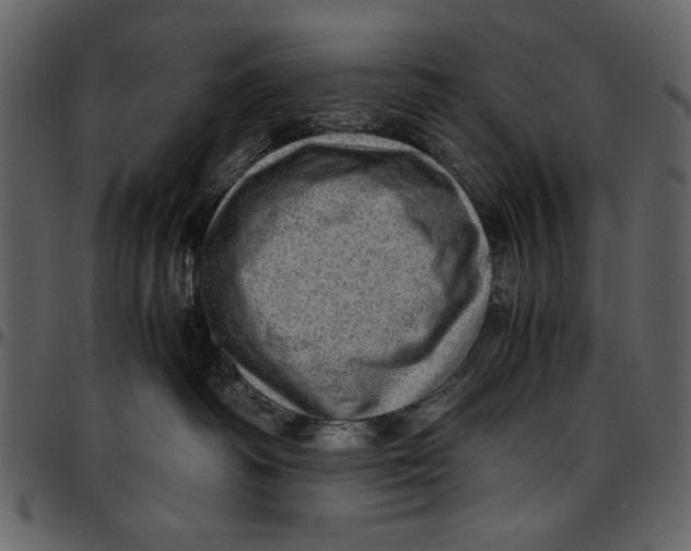 X0000096940334200802291039