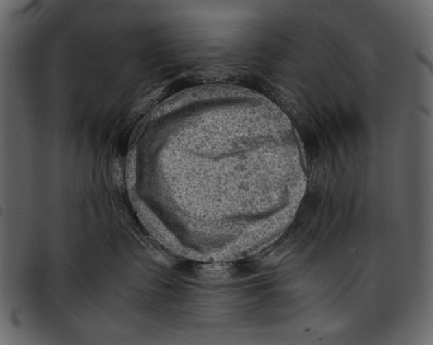 X0000096940335200802291039