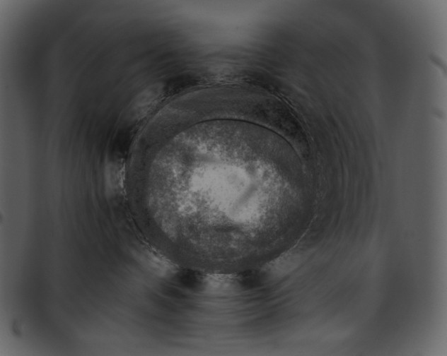 X0000096940336200802291039