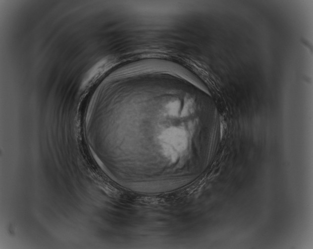 X0000096940339200802291038